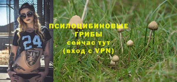 ALPHA PVP Бронницы