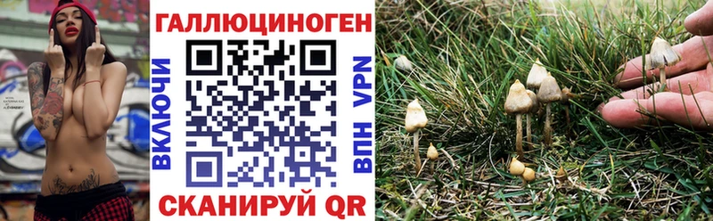 ОМГ ОМГ онион  Шагонар  Галлюциногенные грибы MAGIC MUSHROOMS 